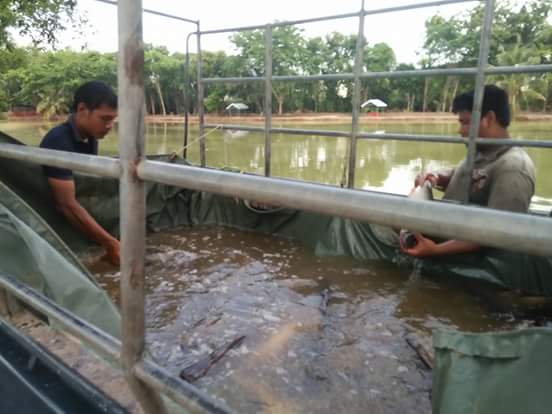 มาแนะนำบ่อตกปลาเปิดใหม่ บ่อตกปลาบ้านแม่ฟิชชิ่ง อำเภอตะพานหิน จังหวัดพิจิตร