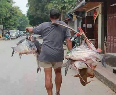 ขอข้อมูล ตกปลาที่ไม้ตรา-บางไทร