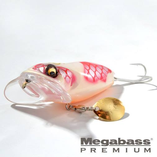 MEGABASS NOISY CAT