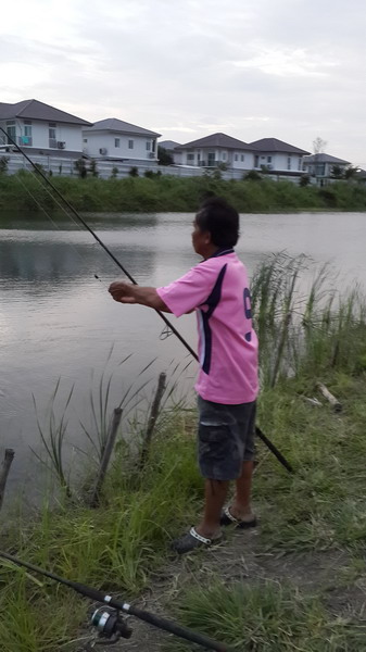 ได้แล้วชะโดทำห่อหมก