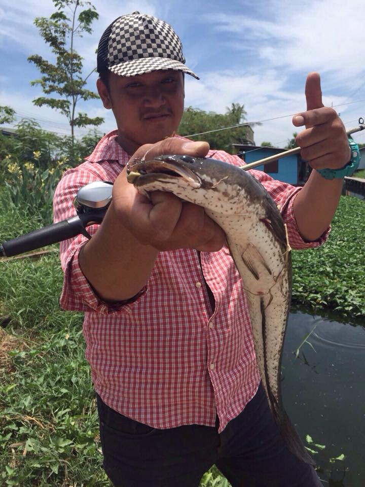 Smile Frog กัดแล้วยิ้ม By Overcst Fishing Team