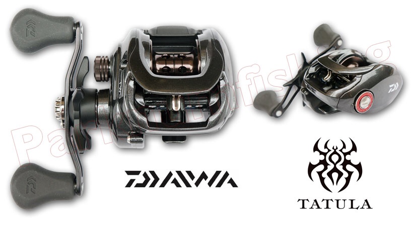 Daiwa Tatura vs Tatura Type R ???