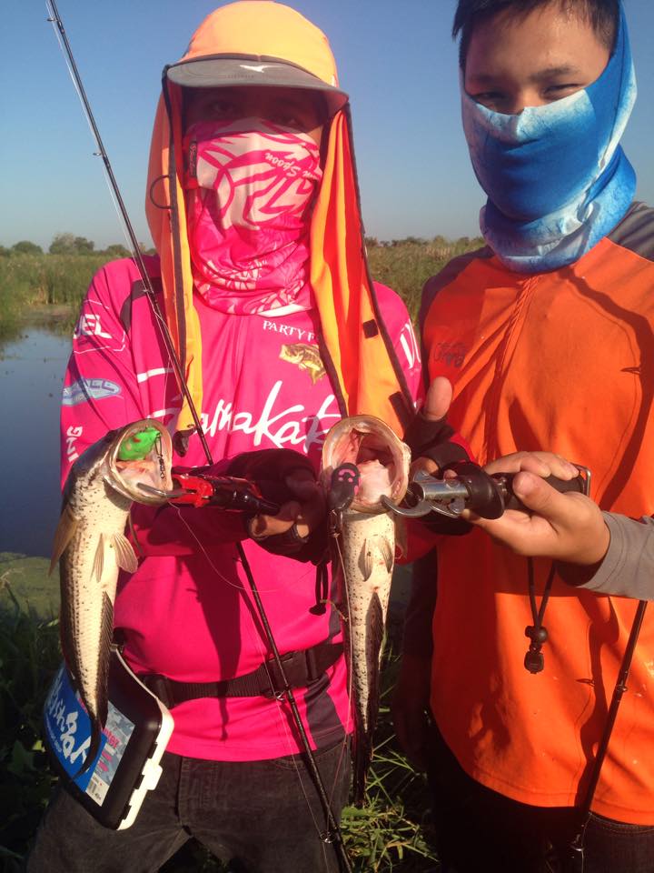 Smile Frog Lure By Overcast Fishing Team update 28-06-15