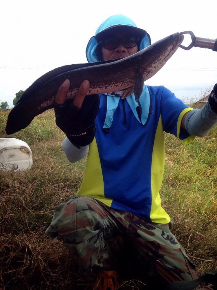 ทริพเล็กๆกับครอบครัว FFT
