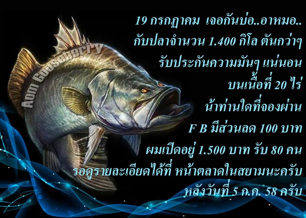 อาหมอมาแล้ว