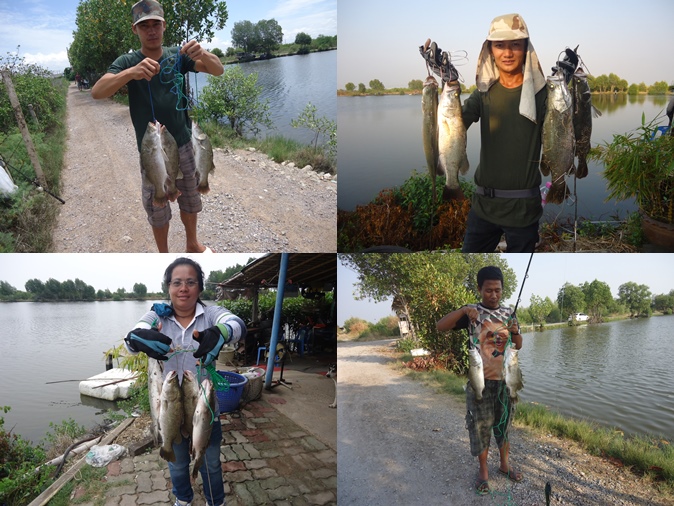 ####บ่อเจ้เพ๊ญกระพงบุฟเฟ่ 1-2 ยังไม่ครบ