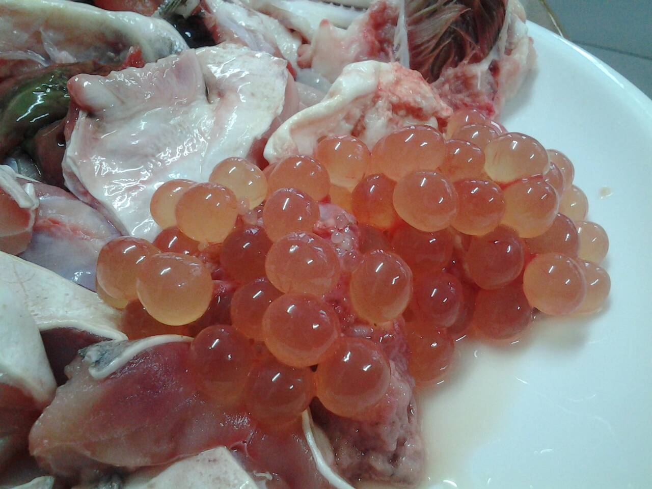 แกงปลากดทะเล...ภาค 2