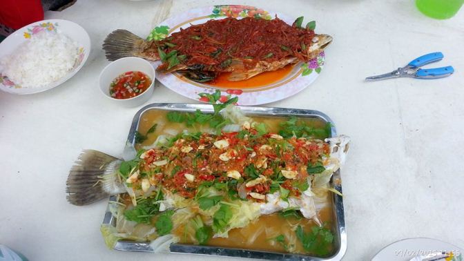 กะพงซ่าห์ ที่บ่อ น.เน๊ะ