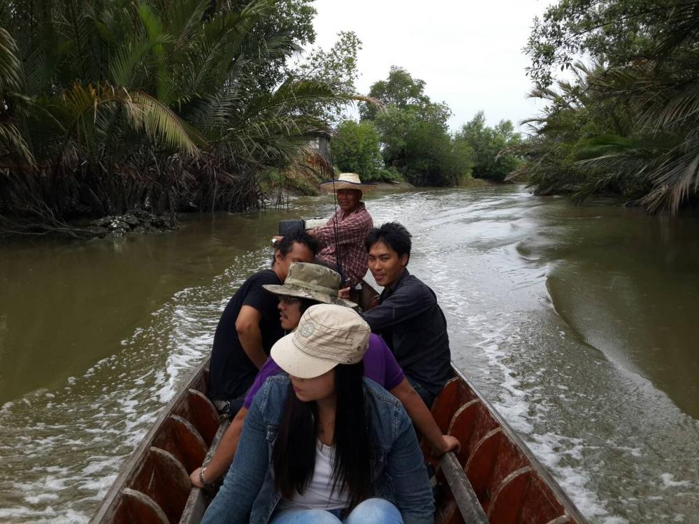 เห็ดโคน กุเลาแว้น ปูเล ที่บ้านเรา