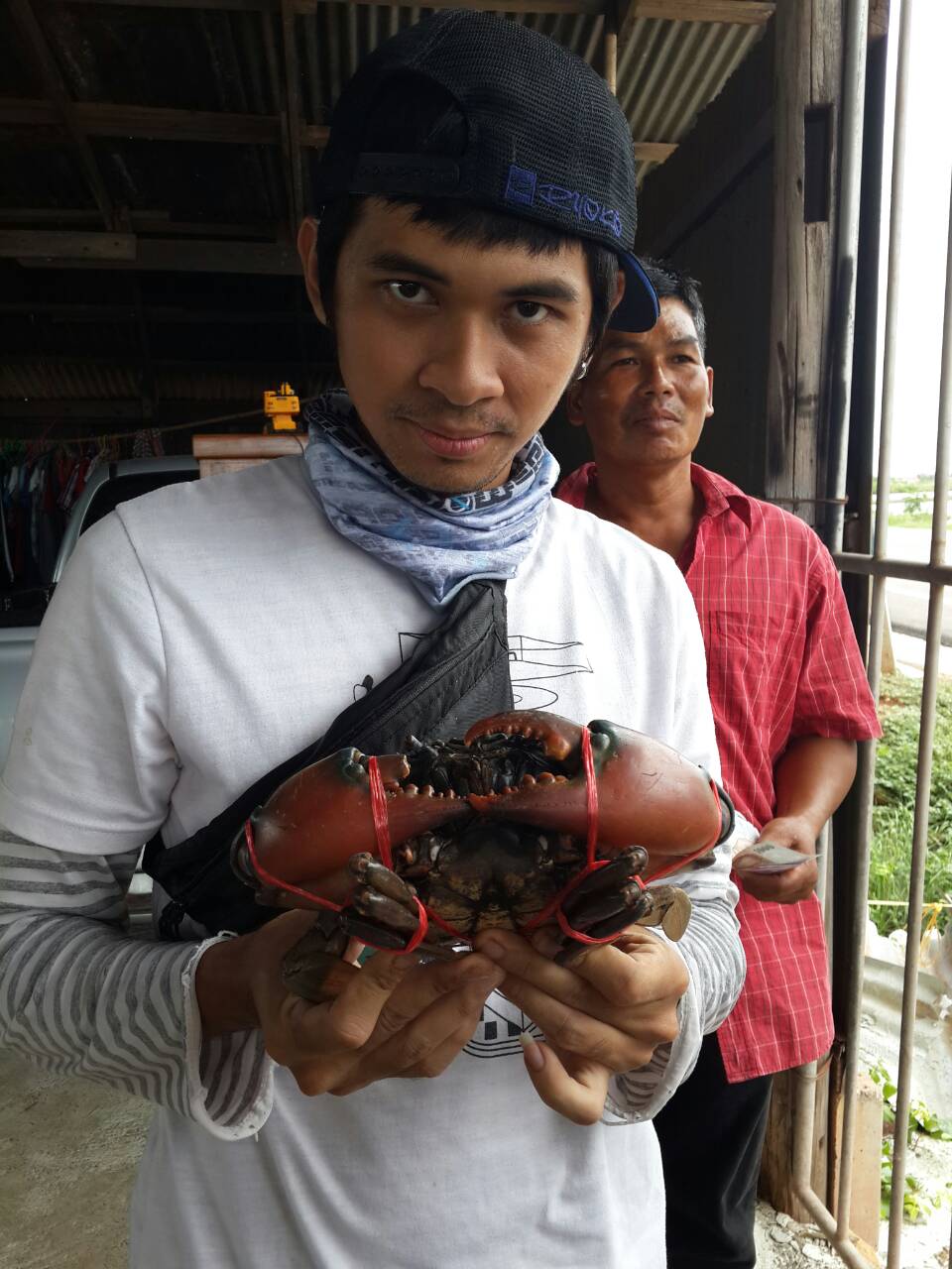 เห็ดโคน กุเลาแว้น ปูเล ที่บ้านเรา
