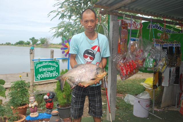 บ่อตกปลาหนุ่ม/ลุงตี๋บางวัว(บ่อปลารวม) ที่4/5/58