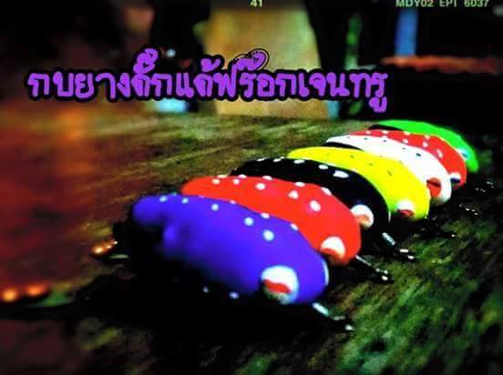 กบยางดั๊กแด้ฟร๊อก ระเบิดทุ้ง คลอฃ หนอง จิงๆ เว่นตี๋สุพรรณ 