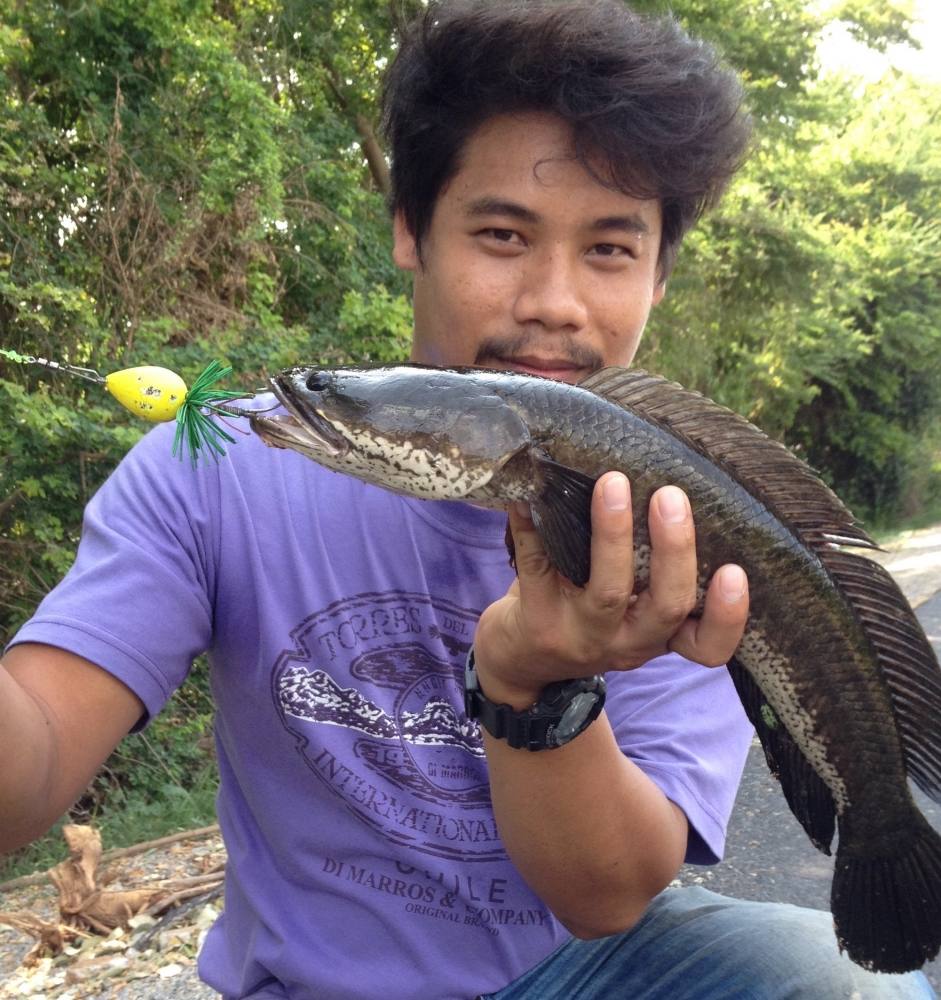 ลูกน้องจัดมา1หน่วย หนดน้ำน้าทุย