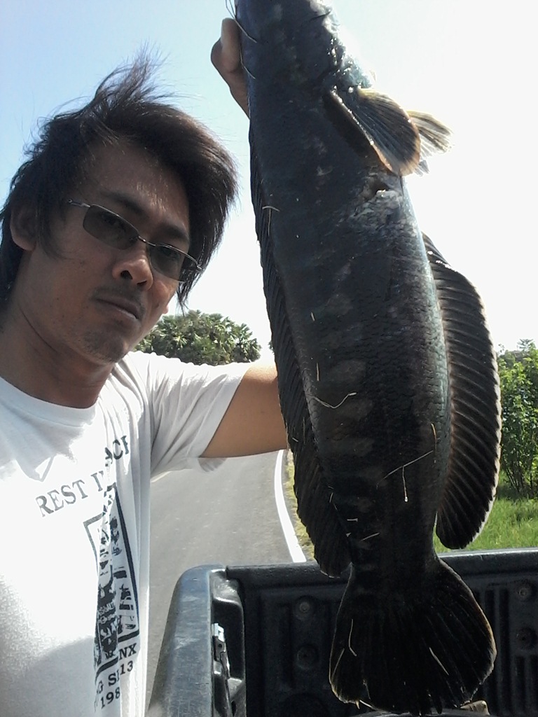 ชะโดนครปฐม