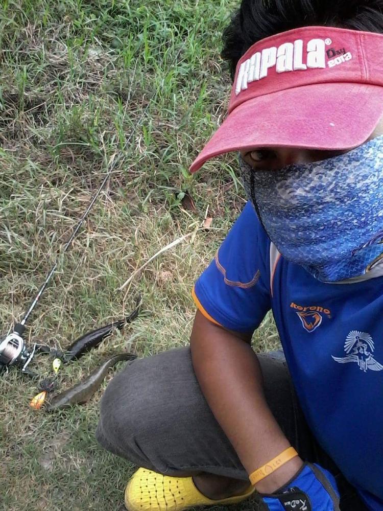 เก็บผลงาน กบ"กัตจัง" 3เหลี่ยม  มาฝากคับ