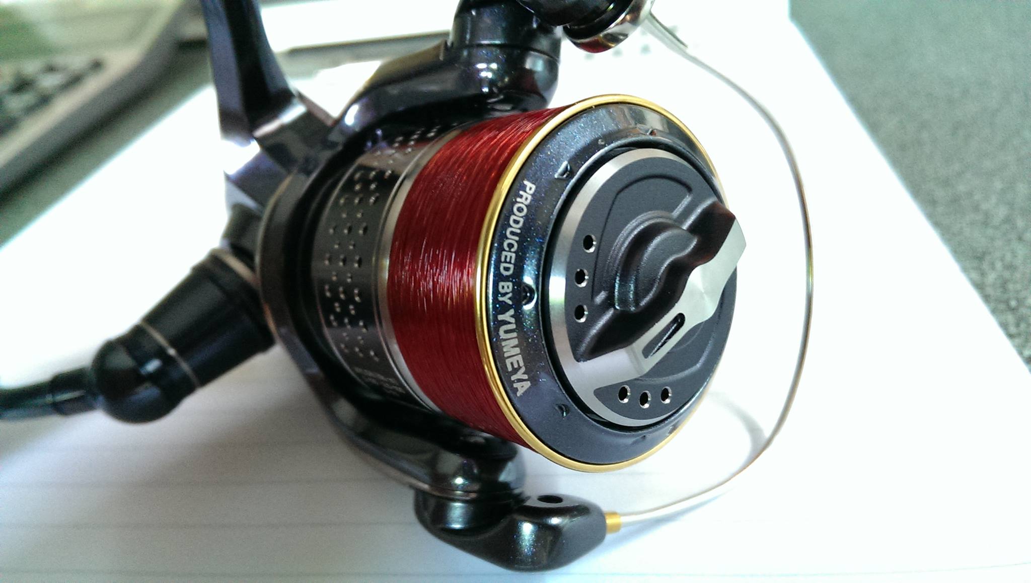 2010 STELLA ALL BLACK - BLACK & GOLD