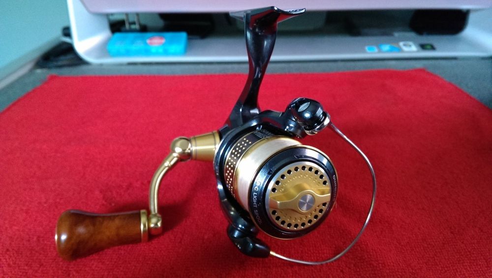 2010 STELLA ALL BLACK - BLACK & GOLD