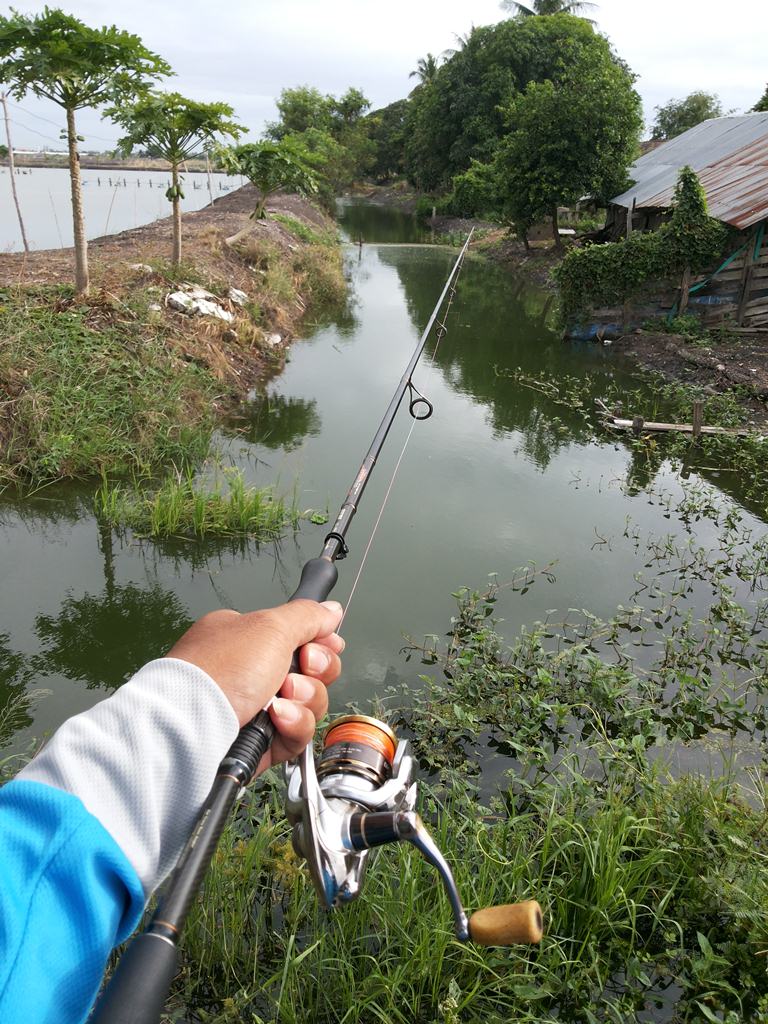 ช่อนข้างถนน