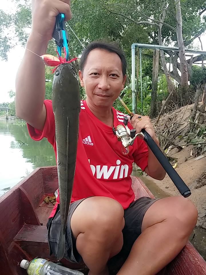 ล่องเรือตามหาปลาช่อน