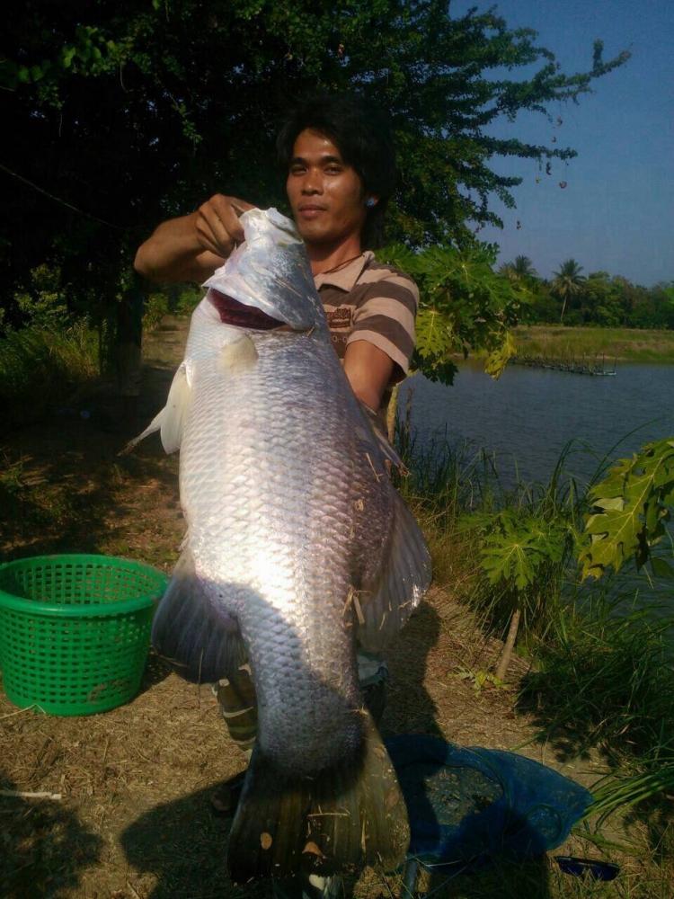 ยังเปิดรับจองอยู่ครับ