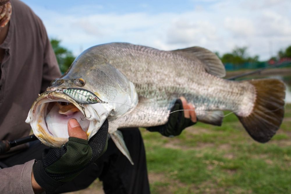 เทสมาให้ชมครับ Ul 5 cm.  by.Curve lure