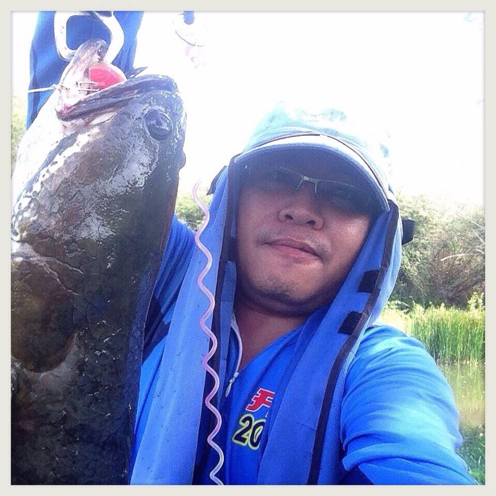 ครึ่งวันพอล่ะ (FFT)