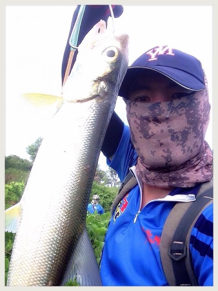 ครึ่งวันพอล่ะ (FFT)