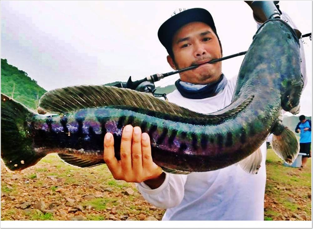 "ตะลอนทัวร์เมืองหัวหิน"