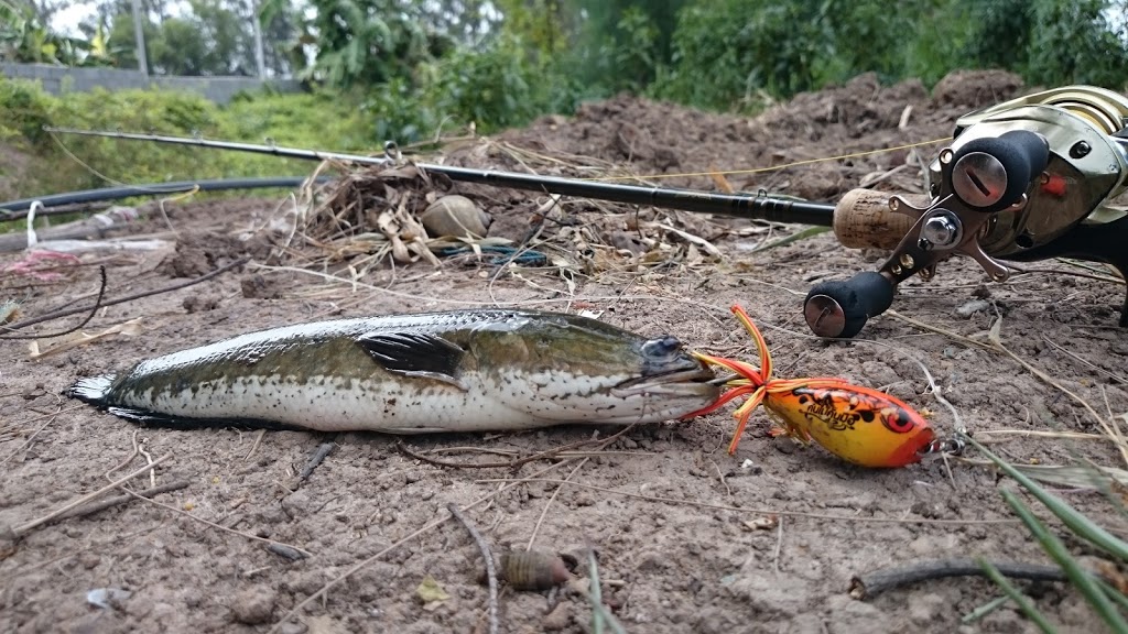 NNN ช่อน กระสง มิบมิบ NNN