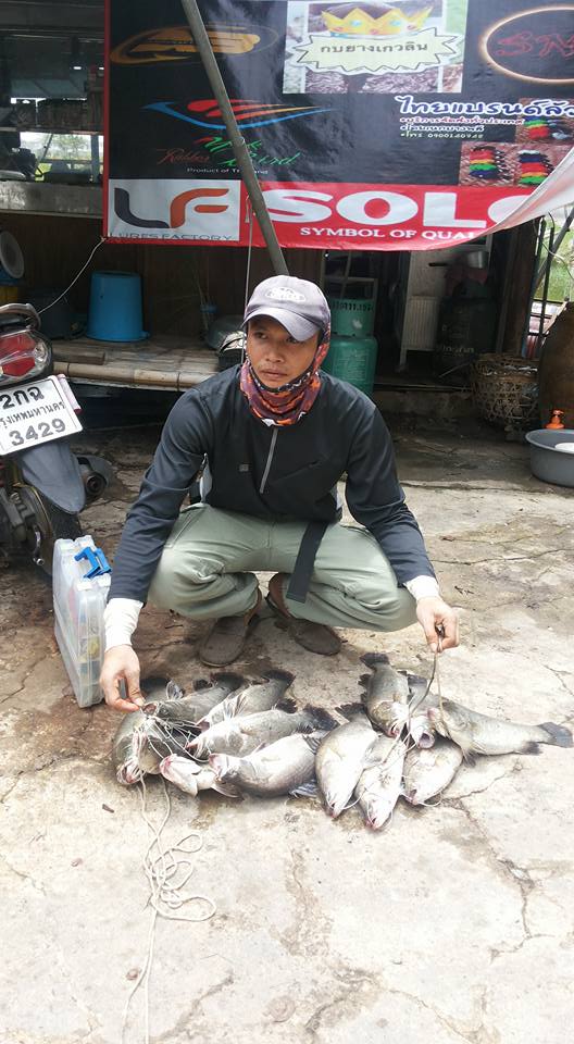 วังบุปผาลงปลา 164 โล 168 ตัว
