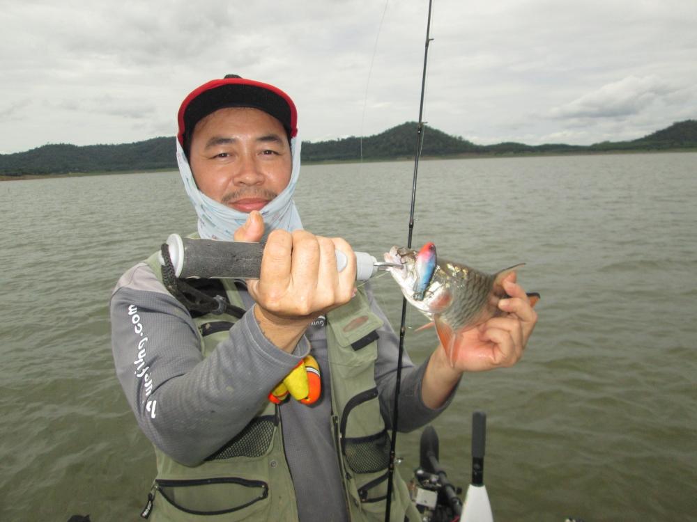กระดี่ยางมีเสียงสีใหม่ล่อใจกระสูบ
