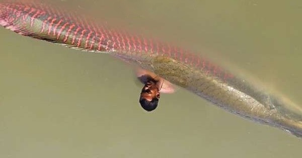 มันใหญ่ ที่สุดรึยังครับ