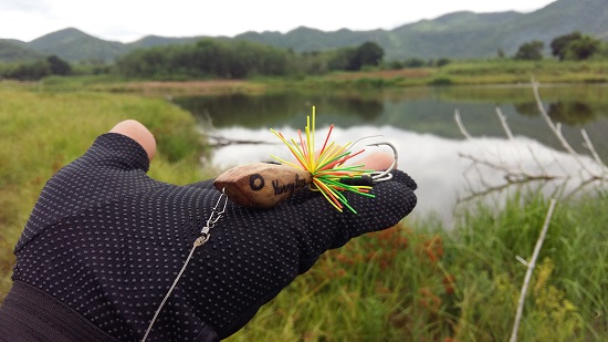 ## Yummy frog กับ ช่อน ป๊อก เมืองเพชร เมื่อวันอาทิตย์ก่อนกลับเมืองชลครับ ##