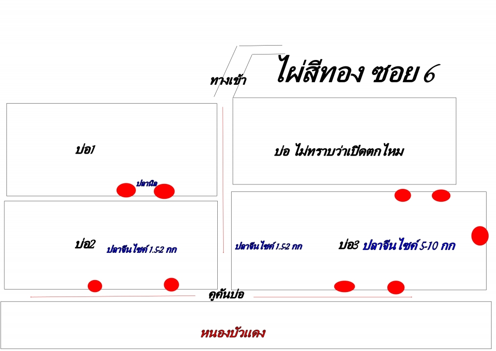 อาทิตย์แรกที่ฟ้าเปิด