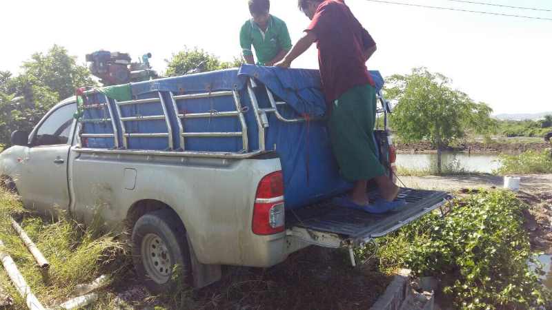 วันนี้บ่อดูนกตกปลา อ่างศิลา ลงปลา250กก ขนาด 1.5 กก