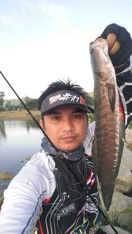 ช่อนป๊อกเพชรบุรี กิน เจ ครับ
