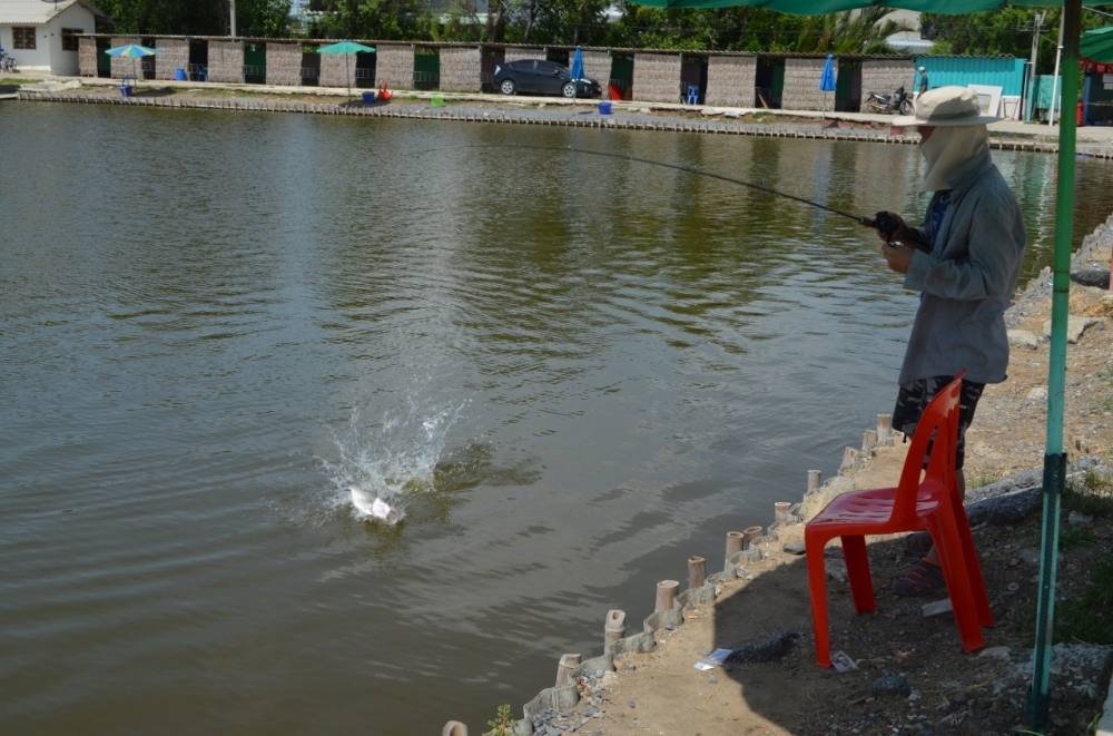 อยากเจอปลาซิงๆมั้ย มาเจอกันได้ที่ VIP Fishing
