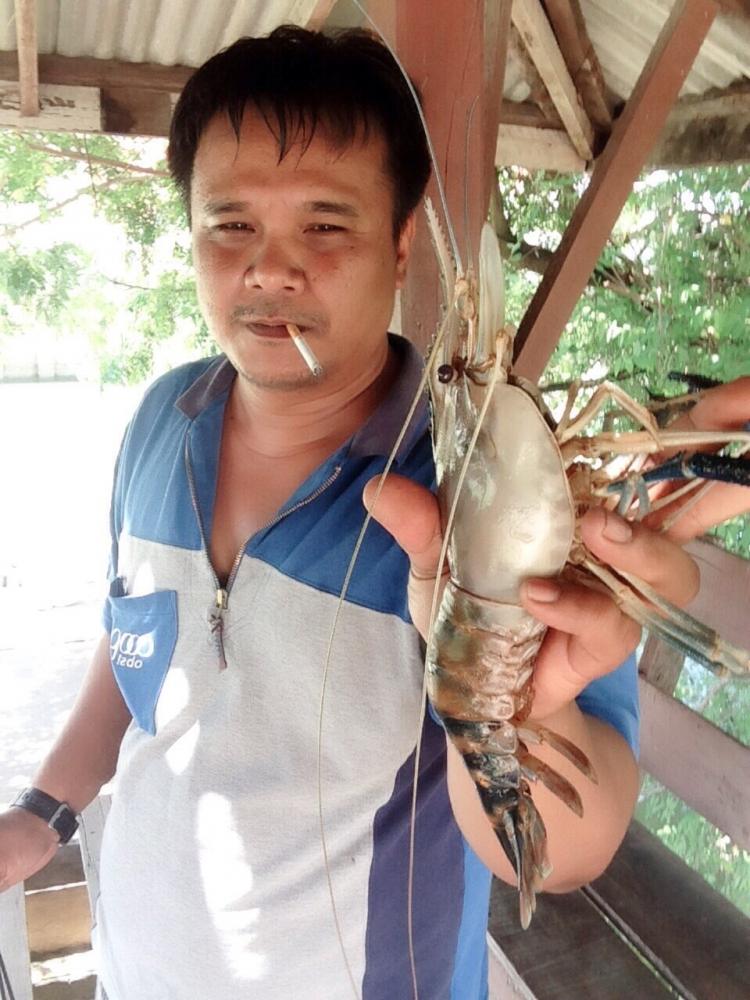 ♠♠►กุ้งใหญ่!! หมายเดิม?►♠♠