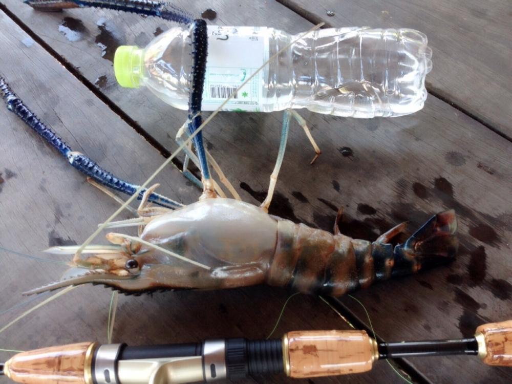 ♠♠►กุ้งใหญ่!! หมายเดิม?►♠♠