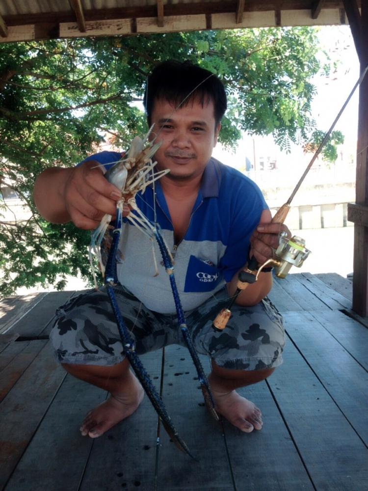 ♠♠►กุ้งใหญ่!! หมายเดิม?►♠♠