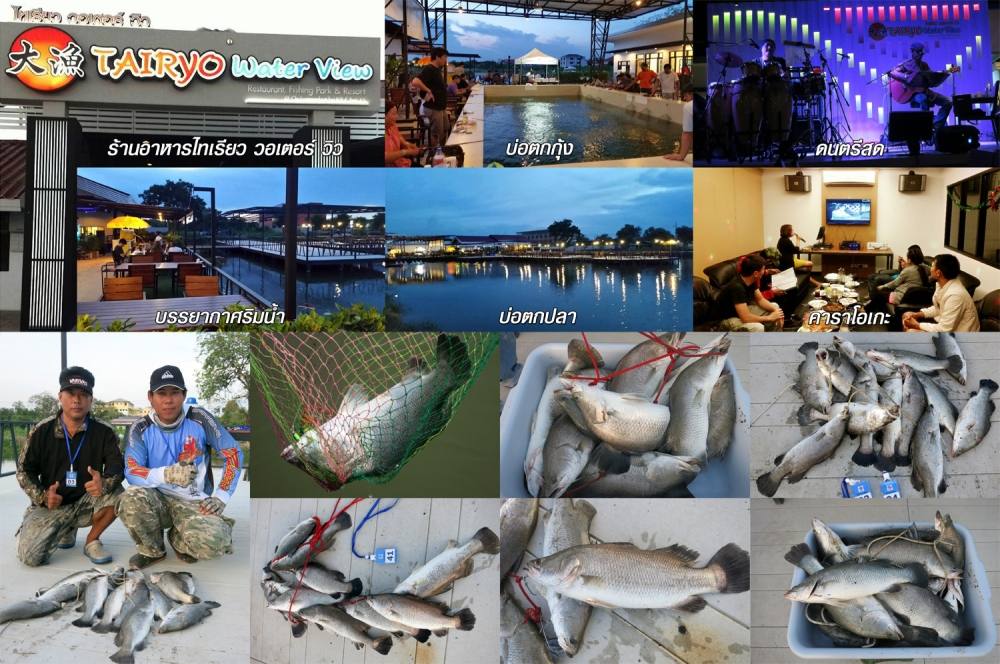 บ่อไทเรียว วอเตอร์ วิว ลงปลากระพงใหม่ สำหรับตกกระบุฟเฟ่ต์ล้าน% ครั้งที่ 13