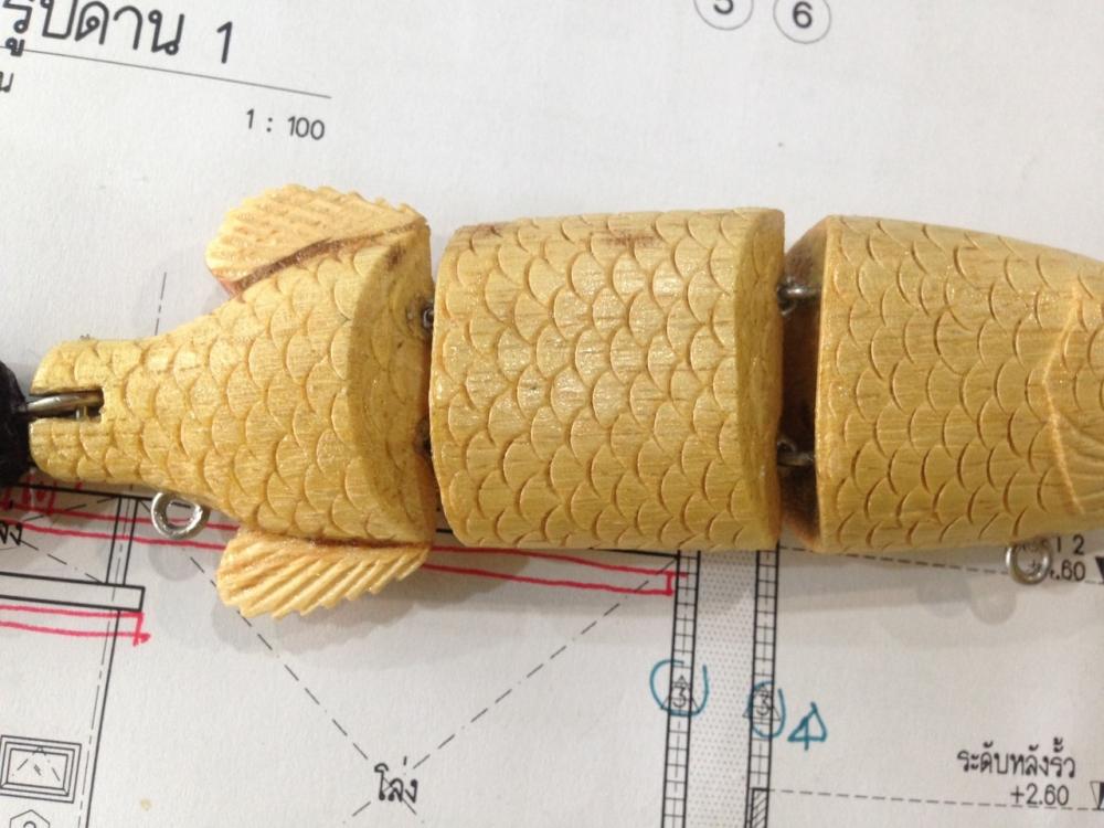 Arowana australia By nui 165 club
