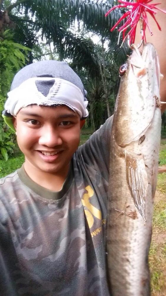 เด็กประจวบ@ปลาช่อนตัวแรก