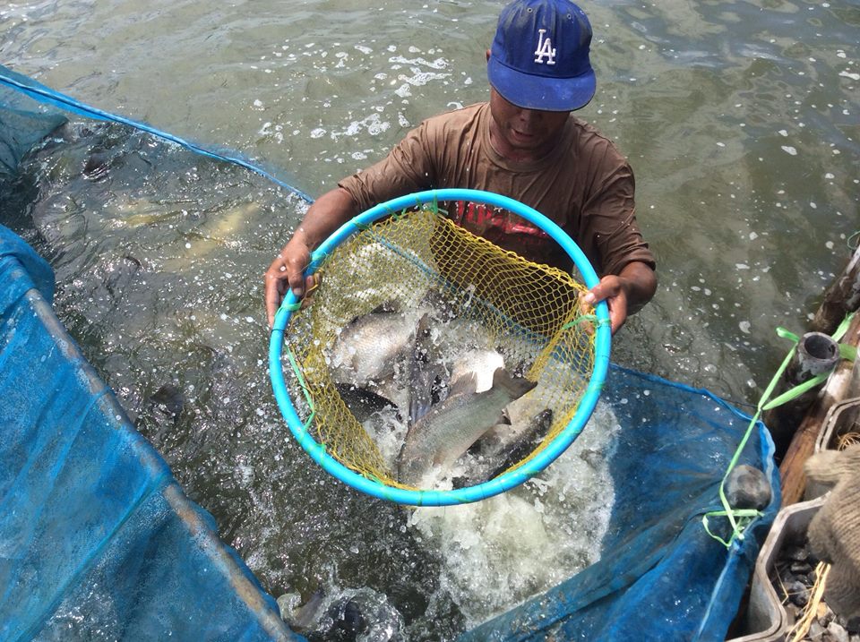น้ำดี ปลาใหม่ โปรสุดคุ้ม จะรออะไรอยู่ที่ VIP Fishing