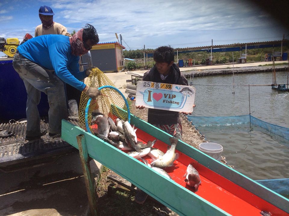 น้ำดี ปลาใหม่ โปรสุดคุ้ม จะรออะไรอยู่ที่ VIP Fishing