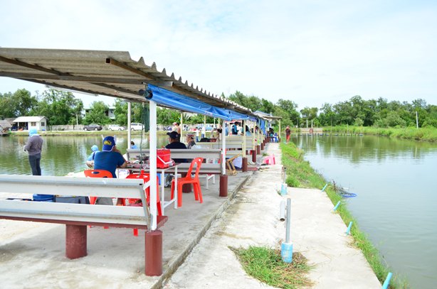 น้ำดี ปลาใหม่ โปรสุดคุ้ม จะรออะไรอยู่ที่ VIP Fishing