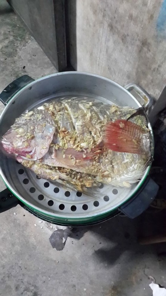 ปลานิล