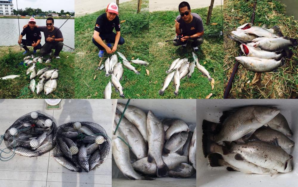 บ่อไทเรียว วอเตอร์ วิว ลงปลาใหม่ สำหรับตกกระบุฟเฟ่ต์ล้าน% ครั้งที่ 14
