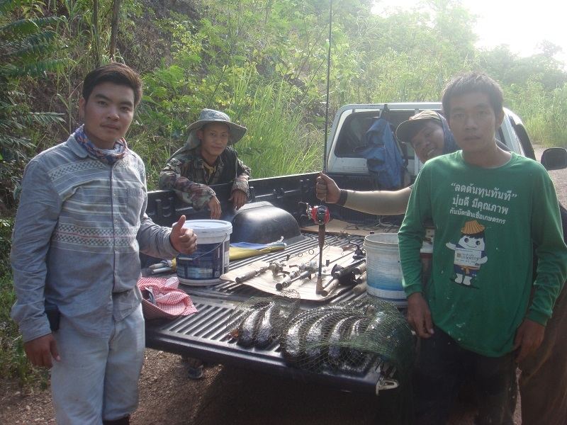 ท่ามกลางขุนเขา.......