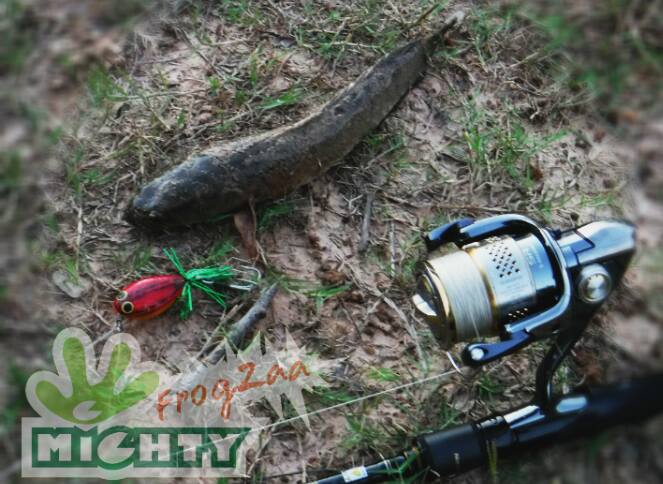 เมื่อกบเปิดตัว...Mighty frog zaaa...